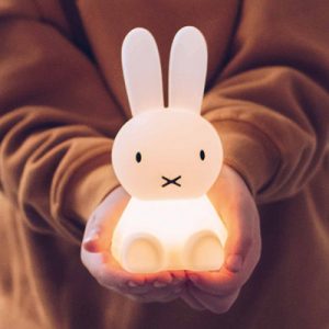 Nijntje Bundle of Light